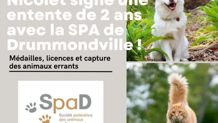 Nicolet signe une entente de deux ans avec la SPA de Drummondville