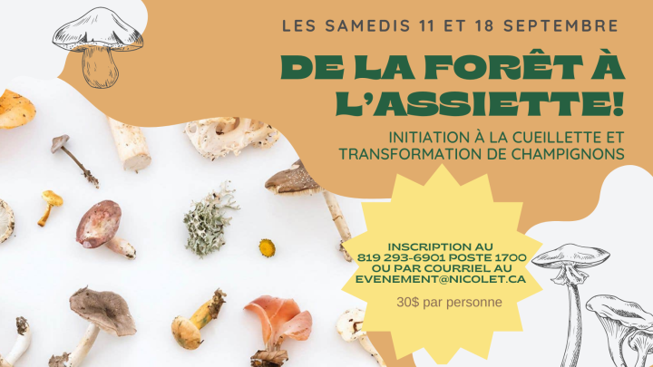 De la forêt à l'assiette !