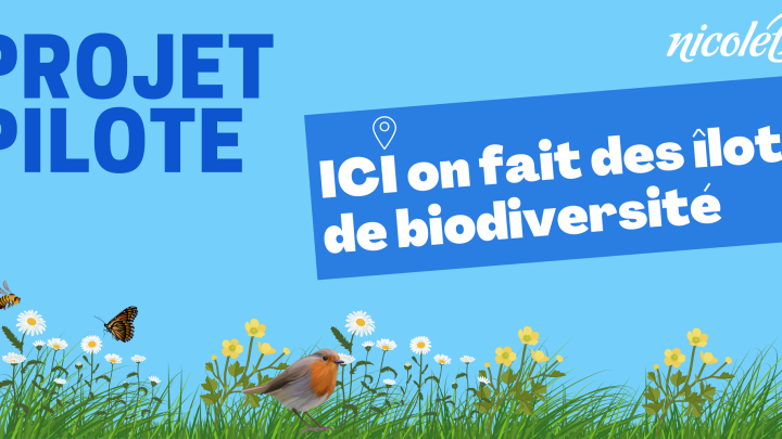 Nouveau projet pilote à Nicolet : îlots de biodiversité pour donner une chance à la nature