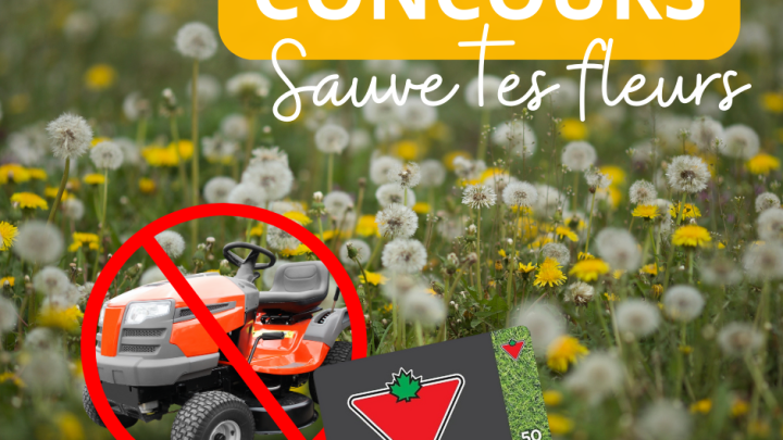 Nicolet invite ses citoyens à prendre congé de leur tondeuse en mai et lance un concours pour l'occasion !