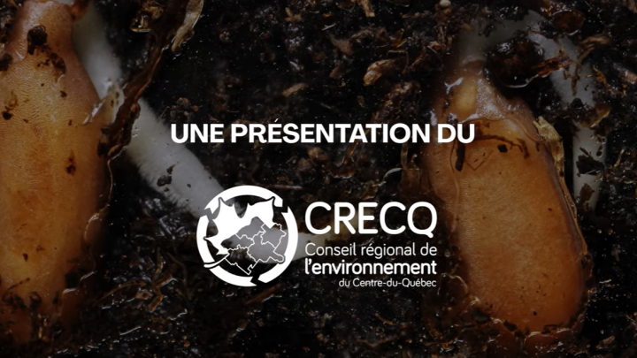 Mieux connaître pour mieux agir contre les plantes exotiques envahissantes