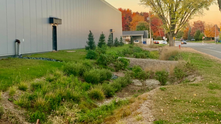 Nicolet finaliste aux fleurons du Québec pour son jardin de pluie à l'aréna Pierre-Provencher