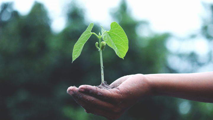 COP15 : Nicolet ajoute sa voix aux autres villes du monde pour protéger la biodiversité