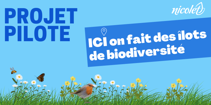 Nouveau projet pilote à Nicolet : îlots de biodiversité pour donner une chance à la nature