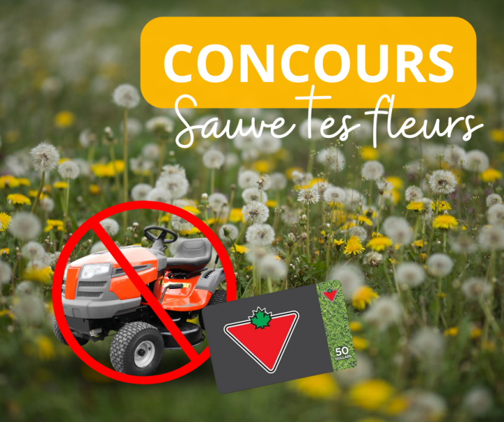 Nicolet invite ses citoyens à prendre congé de leur tondeuse en mai et lance un concours pour l'occasion !