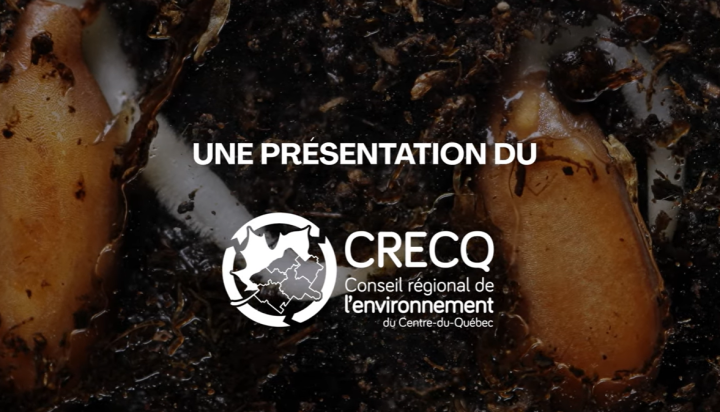 Mieux connaître pour mieux agir contre les plantes exotiques envahissantes