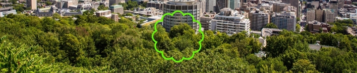 Nicolet fait un pas de plus vers sa transition écologique et se joint au Pôle sur la ville résiliente de l'UQÀM