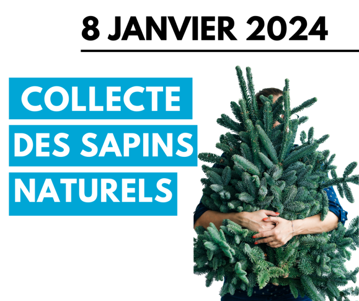 Collecte des sapins naturels - 2024